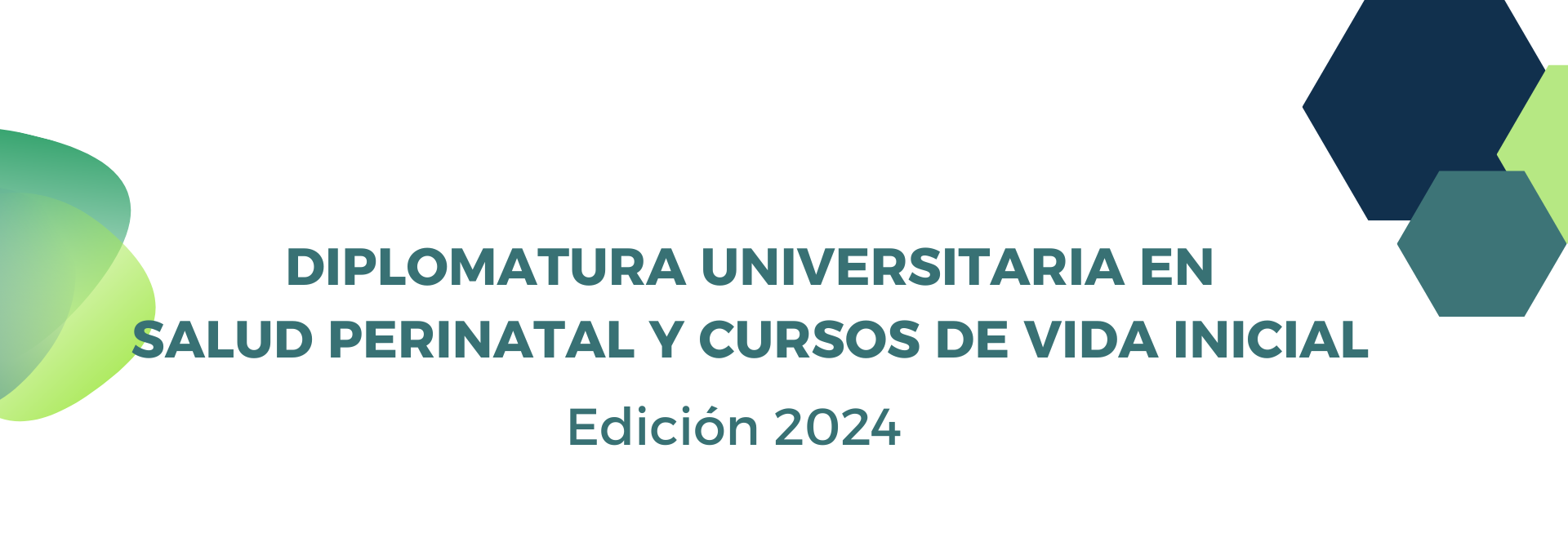 DIPLOMATURA UNIVERSITARIA EN SALUD PERINATAL Y CURSOS DE VIDA INICIAL - 2024